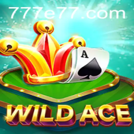 E77 Blackjack